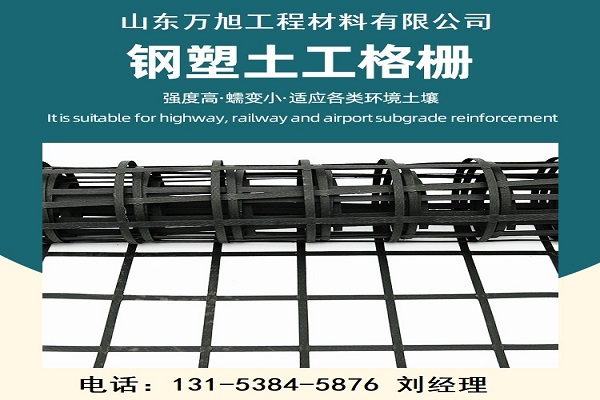 酒泉市钢塑格栅纳米合金蜂巢格室 - 价格